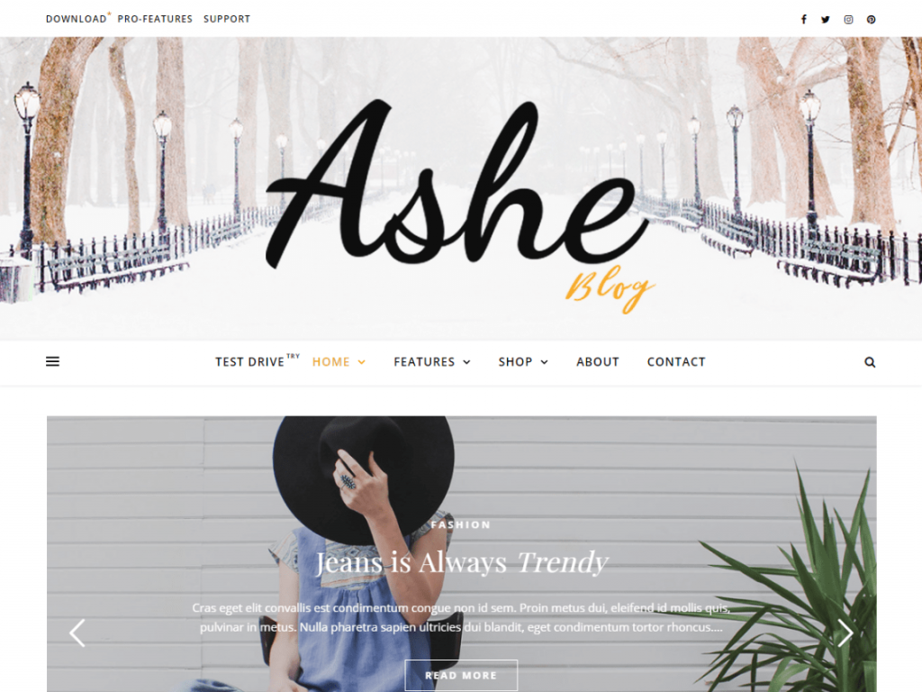 free minimal WordPress theme