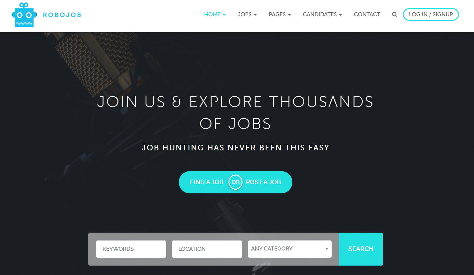 robojob WP Theme