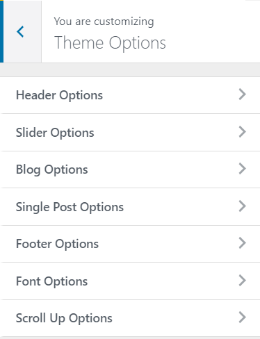 Theme Options Blog Way