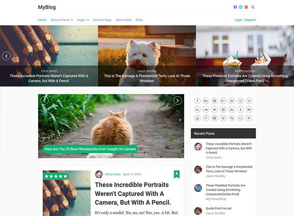 seo ready wordpress themes