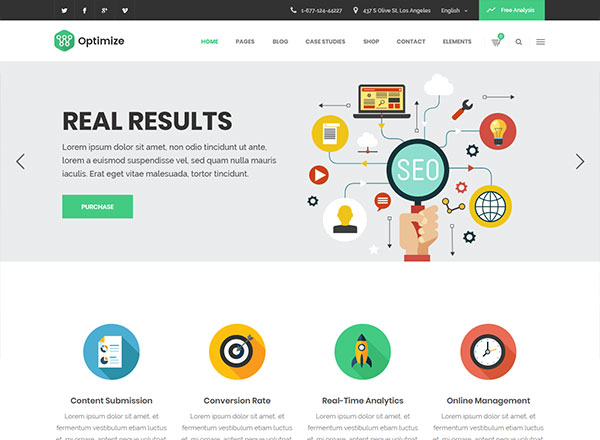 seo ready wordpress themes