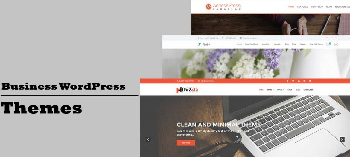 Free and responsive Business WordPress Themes for best look and amazing experience