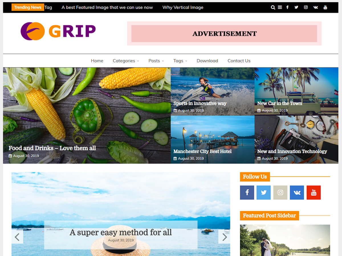 free magazine WordPress theme grip