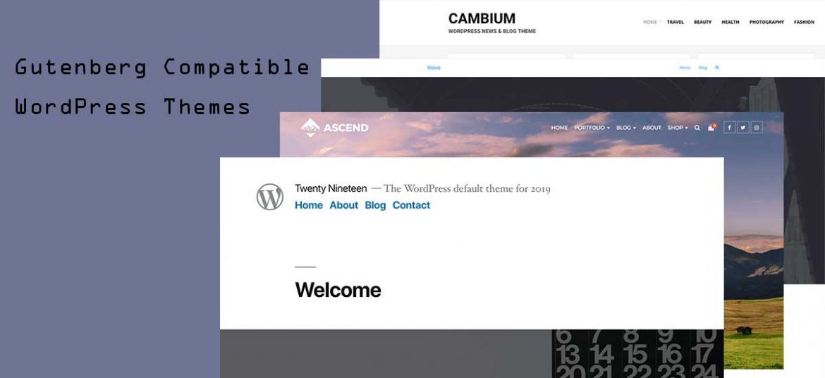 10+ Best Gutenberg Compatible WordPress Themes (Handpicked For you)