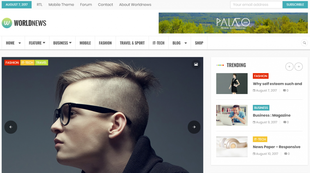 rtl ready WordPress themes