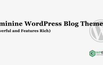 Feminine WordPress Blog Themes