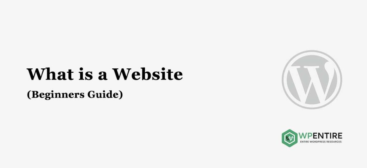 What is a website? Static Vs Dynamic Website [Beginners Guide – How does a website work]