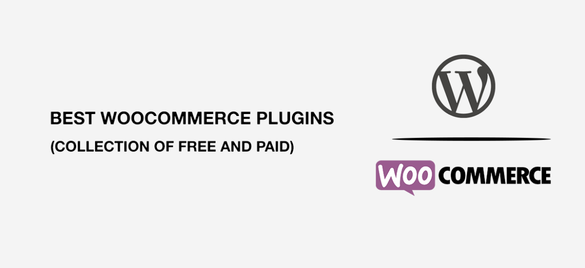 Best WordPress WooCommerce Plugins