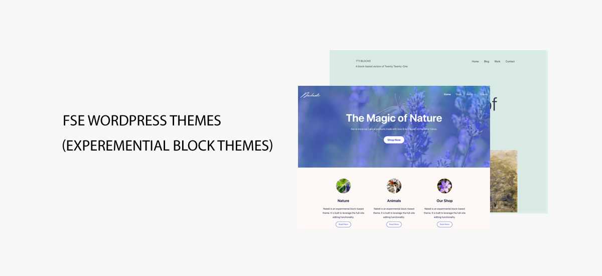 FSE WordPress Themes